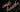 image with dark green foliage and neon wording "and breathe"