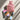 Sojourn Burst Elements Ritual Set, featuring a terracotte coloured drawstring pouch embossed with 'Sojourn' and ‘Burst Your Energy,’ a small energy spray labeled ‘Ich Tanke Energie,’ and a colourful Sojourn ritual card with a person listening to music, arranged together on a flat sunlit surface on a neutral background.